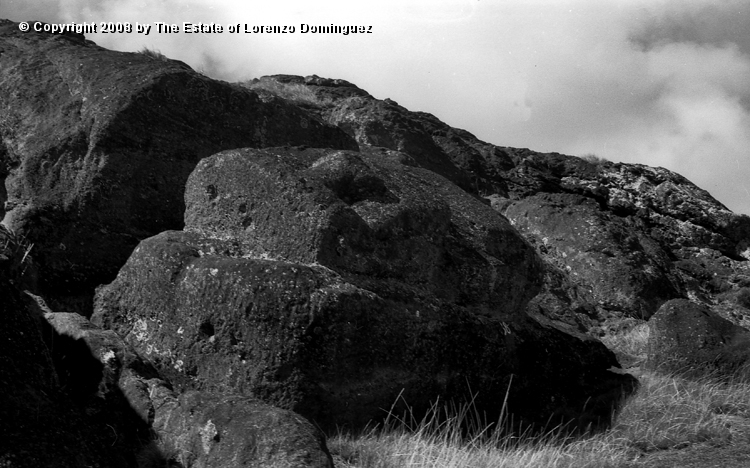 RRI_Cantera_Interior_12.jpg - Easter Island. 1960. Moai on the interior slope of Rano Raraku, near the crest of the volcano. This moai is almost completely carved, but is still connected to the rock by its entire back surface.